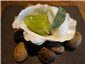 oyster with apple foam